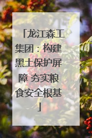 龙江森工集团：构建黑土保护屏障 夯实粮食安全根基