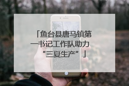 鱼台县唐马镇第一书记工作队助力“三夏生产”