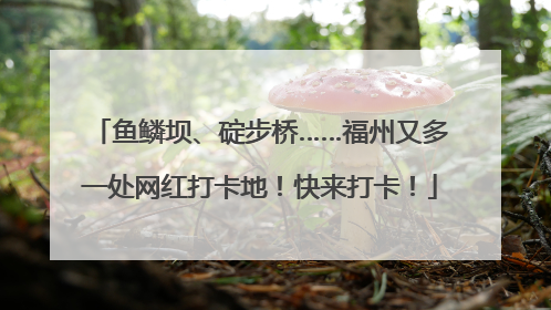 鱼鳞坝、碇步桥……福州又多一处网红打卡地！快来打卡！