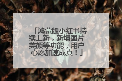 鸿蒙版小红书持续上新，新增图片美颜等功能，用户心愿加速成真！