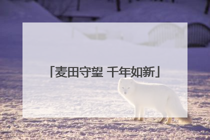 麦田守望 千年如新
