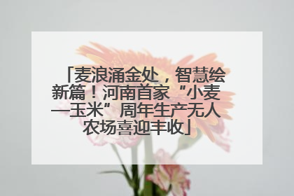 麦浪涌金处，智慧绘新篇！河南首家“小麦—玉米”周年生产无人农场喜迎丰收