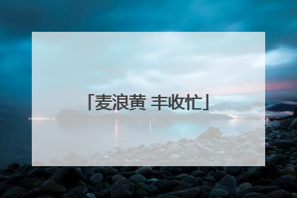 麦浪黄 丰收忙