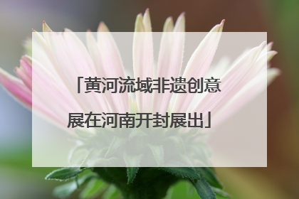 黄河流域非遗创意展在河南开封展出