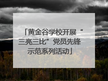 黄金谷学校开展“三亮三比”党员先锋示范系列活动