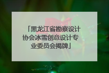 黑龙江省勘察设计协会冰雪创意设计专业委员会揭牌