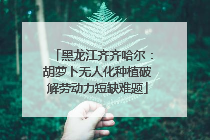 黑龙江齐齐哈尔：胡萝卜无人化种植破解劳动力短缺难题
