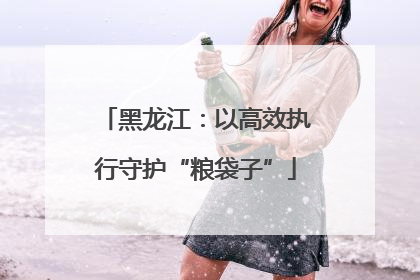 黑龙江：以高效执行守护“粮袋子”
