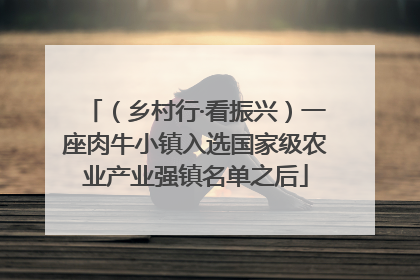 （乡村行·看振兴）一座肉牛小镇入选国家级农业产业强镇名单之后