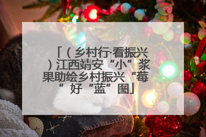 （乡村行·看振兴）江西靖安“小”浆果助绘乡村振兴“莓”好“蓝”图