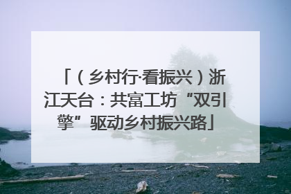 （乡村行·看振兴）浙江天台：共富工坊“双引擎”驱动乡村振兴路