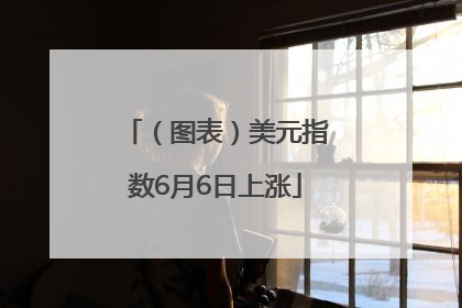 （图表）美元指数6月6日上涨