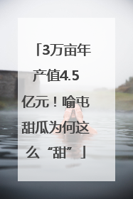 3万亩年产值4.5亿元！喻屯甜瓜为何这么“甜”