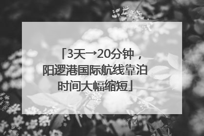 3天→20分钟，阳逻港国际航线靠泊时间大幅缩短