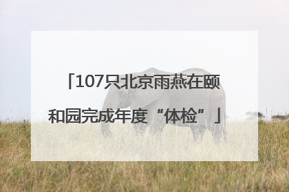 107只北京雨燕在颐和园完成年度“体检”