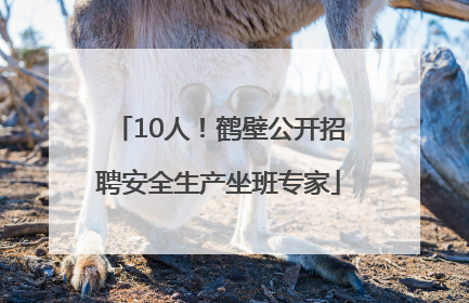 10人！鹤壁公开招聘安全生产坐班专家