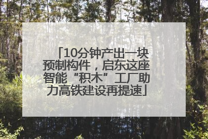 10分钟产出一块预制构件，启东这座智能“积木”工厂助力高铁建设再提速