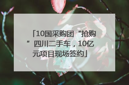 10国采购团“抢购”四川二手车，10亿元项目现场签约
