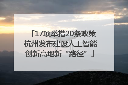 17项举措20条政策 杭州发布建设人工智能创新高地新“路径”