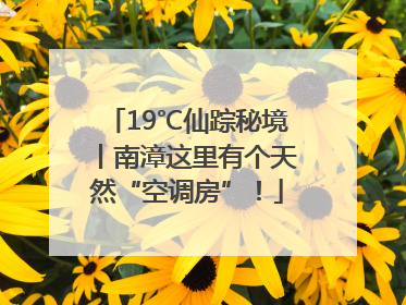 19℃仙踪秘境丨南漳这里有个天然“空调房”！