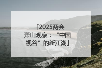 2025两会·萧山观察：“中国视谷”的新江湖