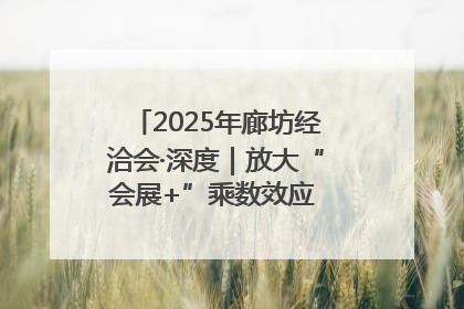 2025年廊坊经洽会·深度｜放大“会展+”乘数效应 打造消费新场景