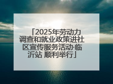 2025年劳动力调查和就业政策进社区宣传服务活动·临沂站 顺利举行
