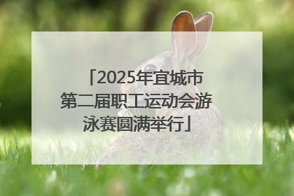 2025年宜城市第二届职工运动会游泳赛圆满举行