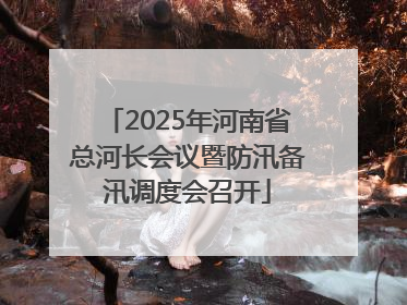 2025年河南省总河长会议暨防汛备汛调度会召开