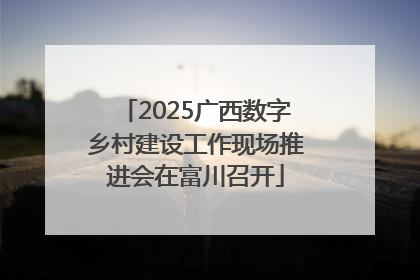 2025广西数字乡村建设工作现场推进会在富川召开