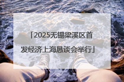 2025无锡梁溪区首发经济上海恳谈会举行