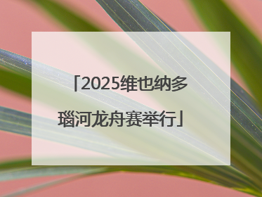 2025维也纳多瑙河龙舟赛举行