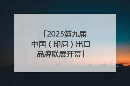 2025第九届中国（印尼）出口品牌联展开幕