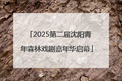 2025第二届沈阳青年森林戏剧嘉年华启幕
