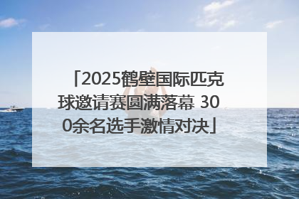 2025鹤壁国际匹克球邀请赛圆满落幕 300余名选手激情对决