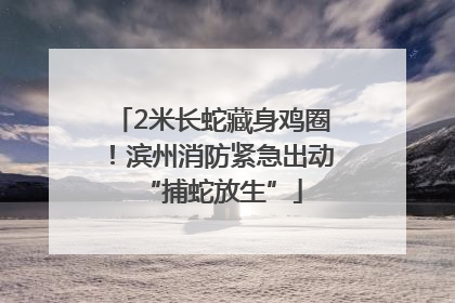 2米长蛇藏身鸡圈！滨州消防紧急出动“捕蛇放生”