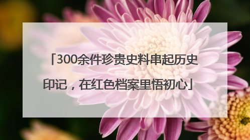 300余件珍贵史料串起历史印记，在红色档案里悟初心