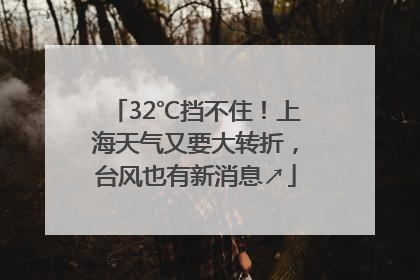 32℃挡不住！上海天气又要大转折，台风也有新消息↗