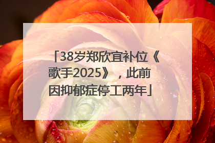 38岁郑欣宜补位《歌手2025》，此前因抑郁症停工两年