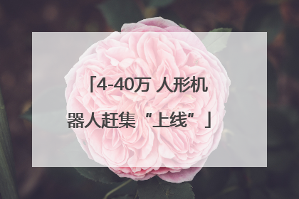4-40万 人形机器人赶集“上线”
