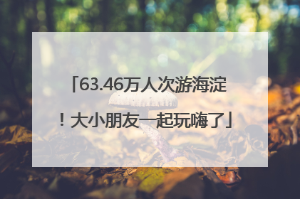 63.46万人次游海淀！大小朋友一起玩嗨了