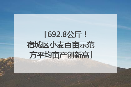 692.8公斤！宿城区小麦百亩示范方平均亩产创新高