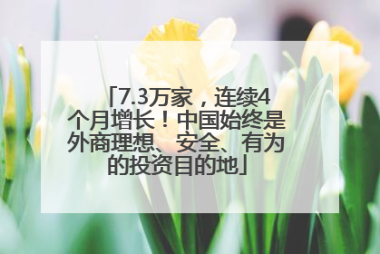 7.3万家，连续4个月增长！中国始终是外商理想、安全、有为的投资目的地