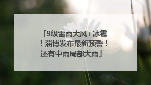 9级雷雨大风+冰雹！淄博发布最新预警！还有中雨局部大雨